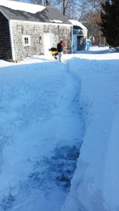 Buddy and Gretchen Shoveling to the Book Shed!